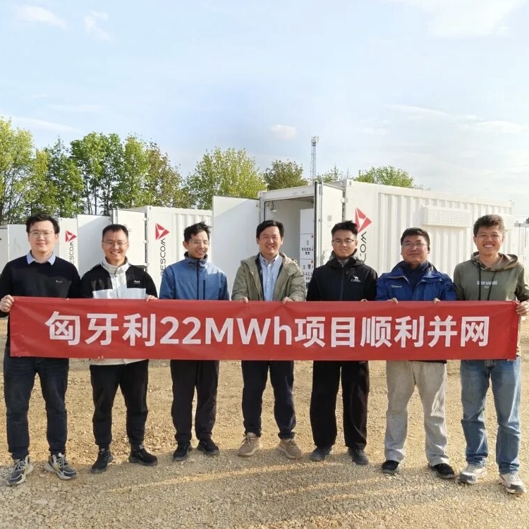 Singularity Energy’s Hungarian Energy Storage Project Successfully Connected to Grid, Empowering Europe’s Energy Transition