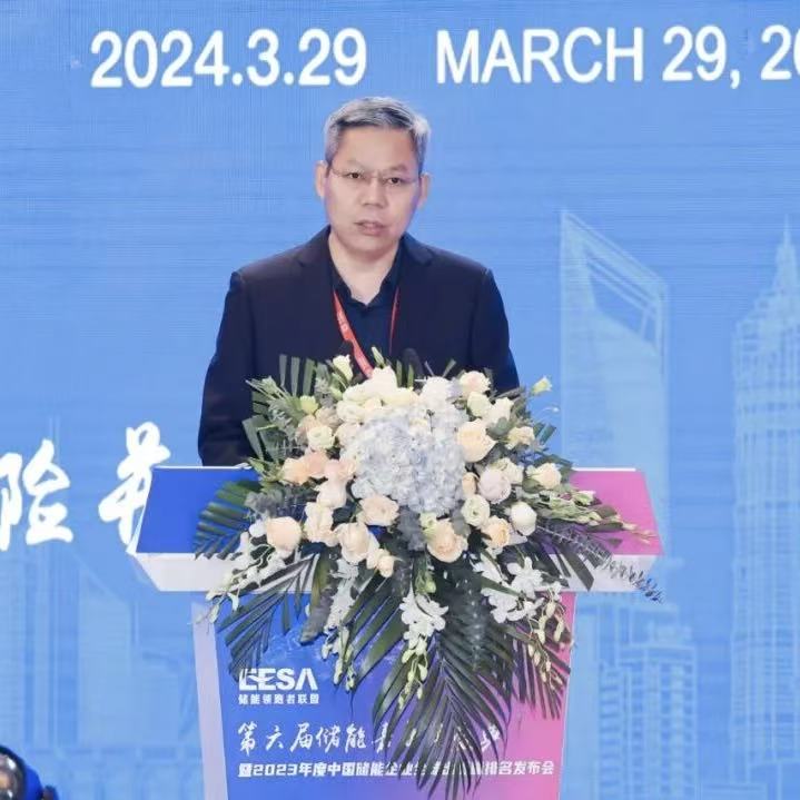 Claim Another No.1! Ranking of China Energy Storage Enterprises 2023 Released