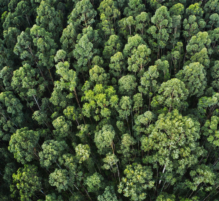 Environmental
Dimension